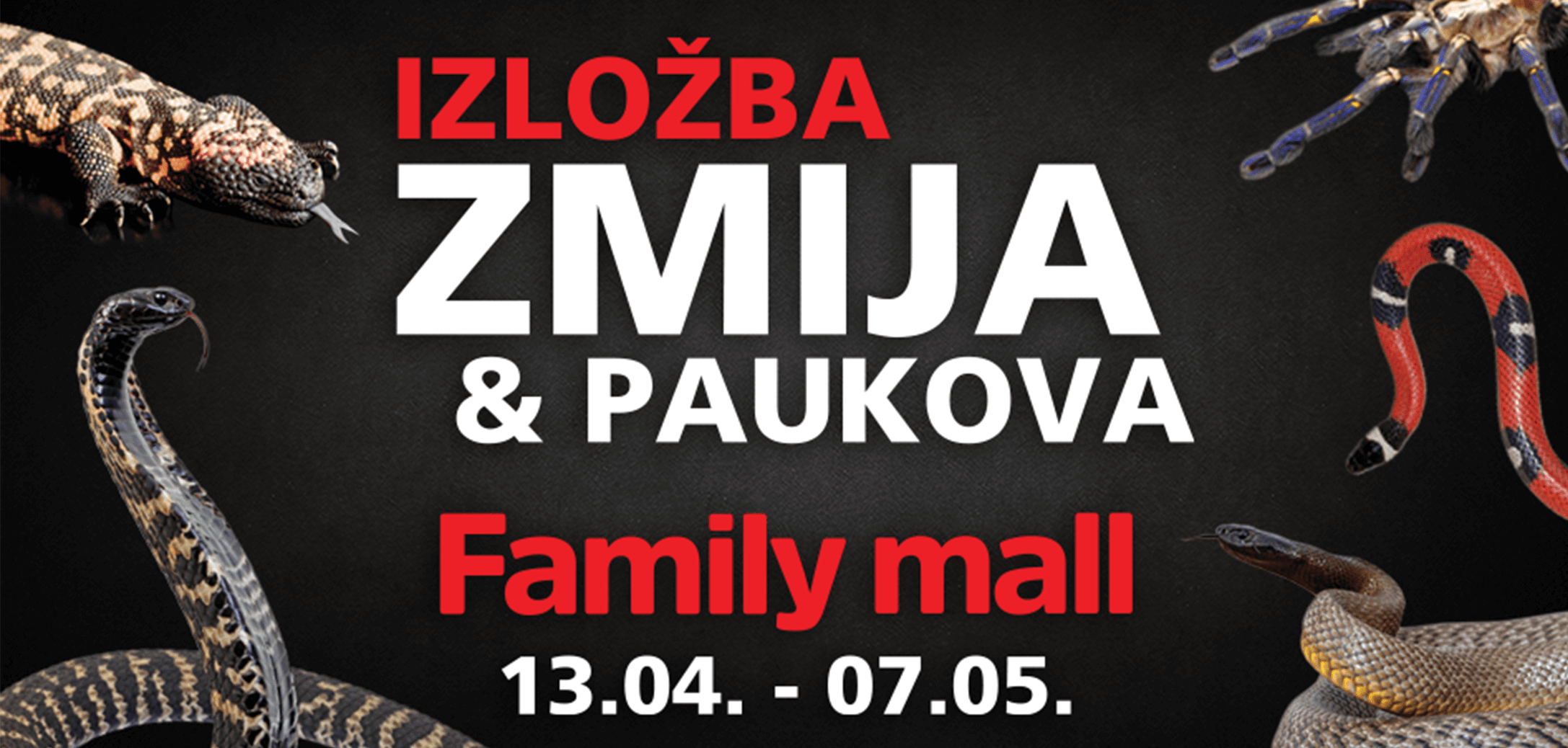 IZLOZBA ZMIJA PAUKOVA CLANAK 1 - 4 razloga za Family mall vikend