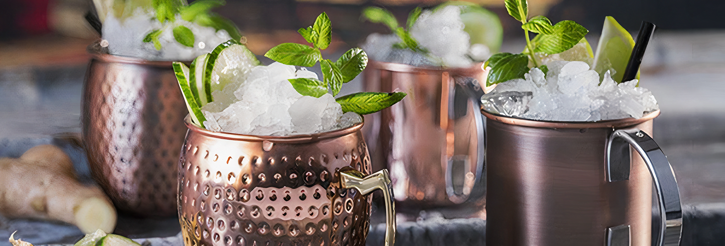 Alpeks cover - Alpeks Gastro