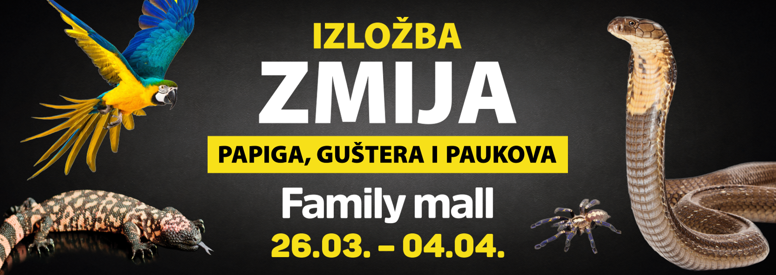 Izlozba zmija i papiga u family mallu cover 2026 v2 - Izložba zmija, papiga, guštera i paukova u Family mallu 26.3.- 04.04.2026.